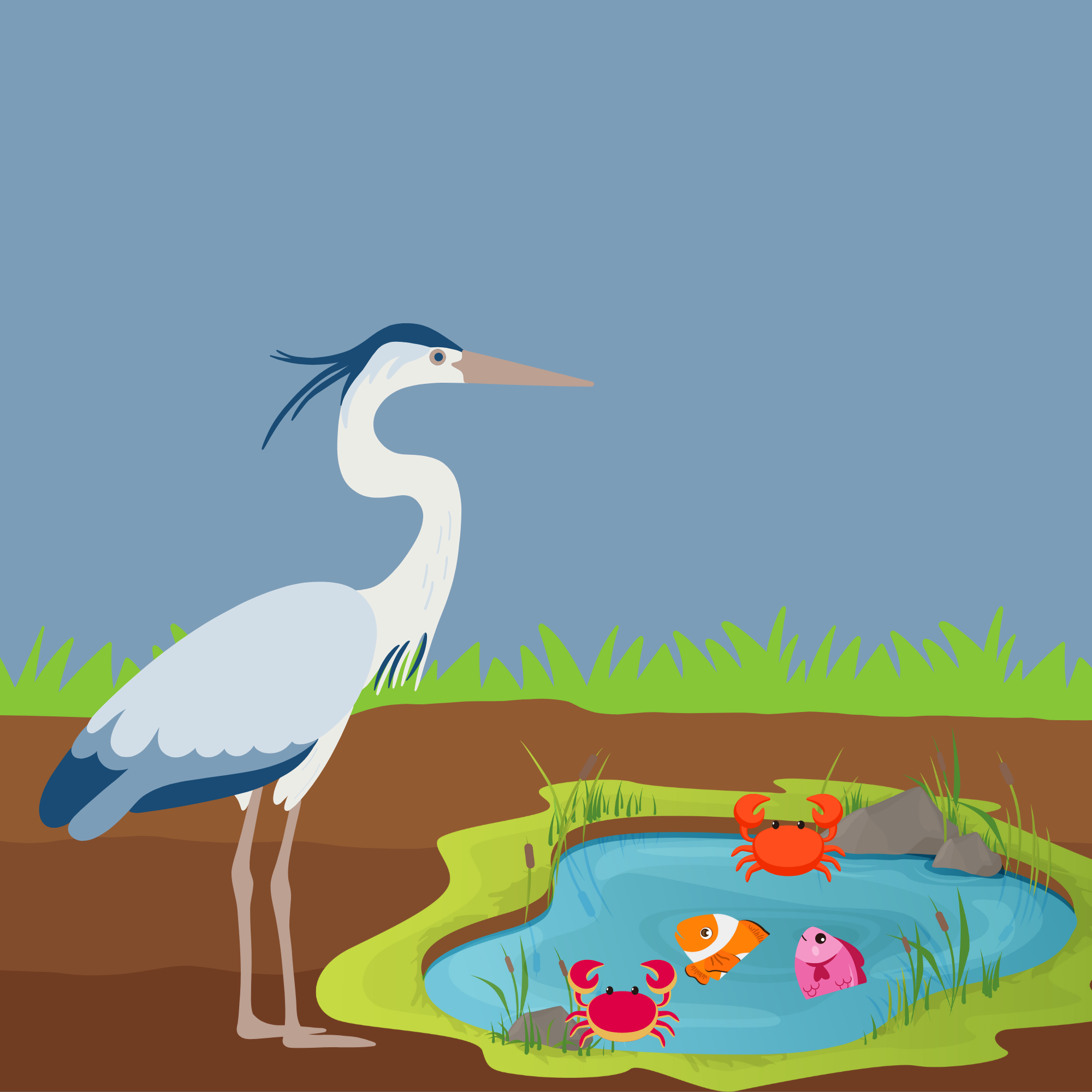 Trouble in the Lake