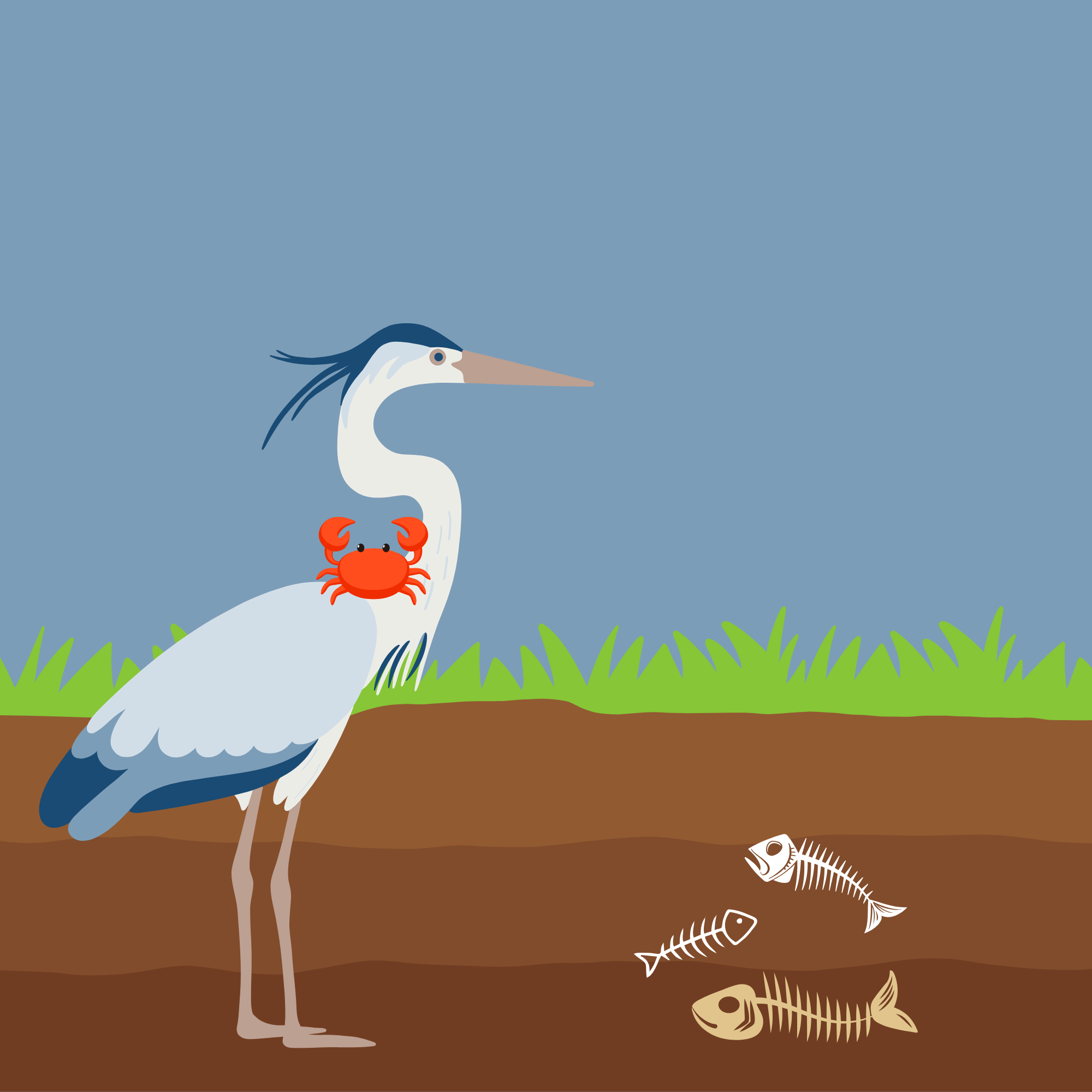 The Clever Crab