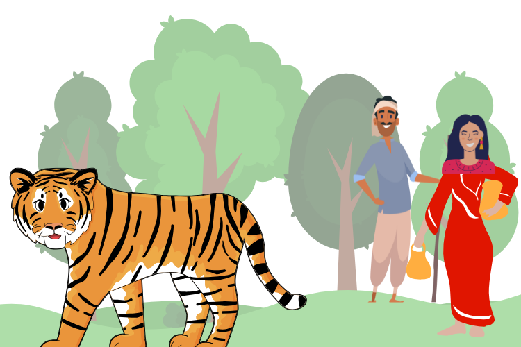 The Tiger’s Pride